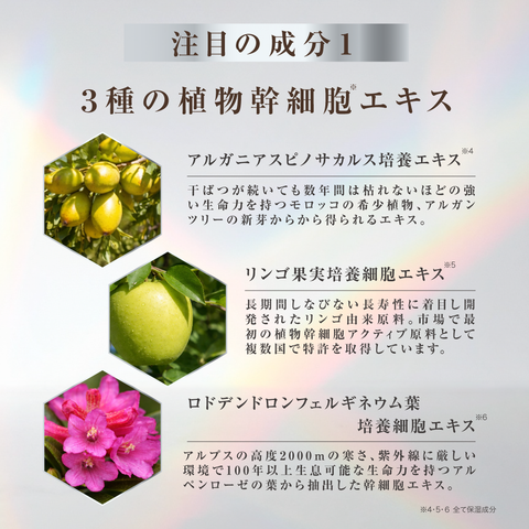 STEM CELL + PDRN CREAM SHAMPOO