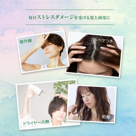 CICA & GABA SHAMPOO-TREATMENT SET WOMEN
