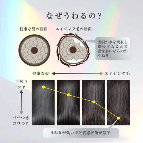 STEM CELL + PDRN CREAM SHAMPOO